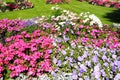 Abbey Gardens flowerbeds, Evesham.