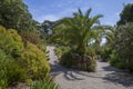 Abbey Gardens, Tresco, Isles of Scilly, England