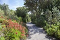 Abbey Gardens, Tresco, Isles of Scilly, England