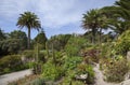 Abbey Gardens, Tresco, Isles of Scilly, England