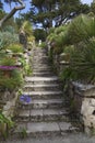 Abbey Gardens, Tresco, Isles of Scilly, England