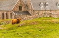 The Abbey on the Isle of Iona Royalty Free Stock Photo