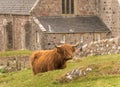 The Abbey on the Isle of Iona Royalty Free Stock Photo