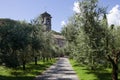 Abbey of Piona,Olivi garden of the church of San Nicola Royalty Free Stock Photo