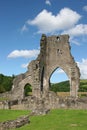 Abbey Ruins Royalty Free Stock Photo