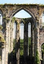 Abbey ruins