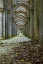 Abbey of San Galgano, detail Royalty Free Stock Photo