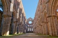 Abbey of San Galgano, Tuscany Royalty Free Stock Photo