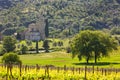 Abbey of Sant'Antimo with vineyards, Montalcino, Tuscany, Italy Royalty Free Stock Photo