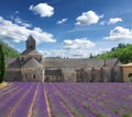 Abbey Senanque and Lavender field, France Royalty Free Stock Photo