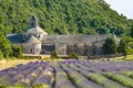 Abbey Of Senanque And Blooming Lavender Field, France