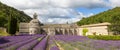Abbey of Senanque and blooming rows lavender flowers Royalty Free Stock Photo