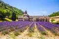 Abbey of Senanque and blooming rows lavender flowers. Gordes, Luberon, Vaucluse, Provence, France. Royalty Free Stock Photo