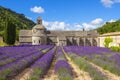 Abbey of Senanque Royalty Free Stock Photo