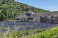 Abbey of Senanque and blooming rows lavender flowers. Royalty Free Stock Photo