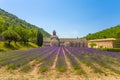 Abbey of Senanque and blooming rows lavender flowers. Gordes, Luberon, Vaucluse, Provence, France. Royalty Free Stock Photo