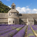 Abbey of Senanque and lavander field Royalty Free Stock Photo