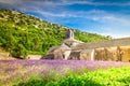 Abbey Senanque and Lavender field, France