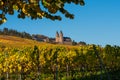 Abbey of St. Hildegard, Ruedesheim / Germany, framed by autumn colored vineyards
