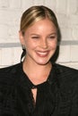 Abbie Cornish Royalty Free Stock Photo