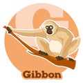 ABC Cartoon Gibbon