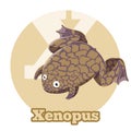 ABC Cartoon Xenopus