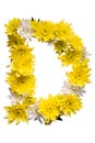ABC collection of letters.. Letter D made of real leaves and flowers