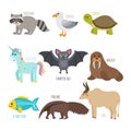 ABC. Cute zoo alphabet in vector. Funny cartoon animals. Raccoon Royalty Free Stock Photo