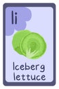 Abc food education flash card, Letter I - iceberg lettuce.