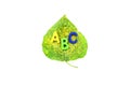 ABC letters on autumn leaf. White background. education and back to school concept Royalty Free Stock Photo