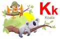 ABC spanish alphabet letter K koala. Learning spanish owl sit branch koala sleep