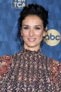 ABC Winter TCA Party Arrivals Royalty Free Stock Photo