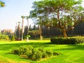 Abdeen Palace in Cairo, Egypt, a large and luxurious palace belonging to the family of Muhammad Ali Pasha and contains
