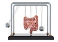Abdominal pain concept. Newton`s cradle with bowel. 3D rendering