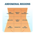 Abdominal quadrant regions scheme as stomach division vector illustration. Royalty Free Stock Photo