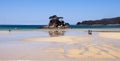 Abel Tasman National Park Royalty Free Stock Photo