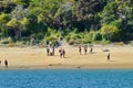 Hikers on the Anchorage beach in Abel Tasman National Park.