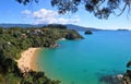 Abel Tasman Park Panorama, New Zealand Royalty Free Stock Photo