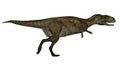 Abelosaurus dinosaur - 3D render Royalty Free Stock Photo