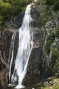 Aber falls Royalty Free Stock Photo