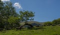 Aber falls Royalty Free Stock Photo