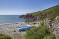 Aber Mawr, Pembrokeshire Royalty Free Stock Photo