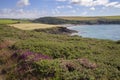 Aber Mawr, Pembrokeshire Royalty Free Stock Photo