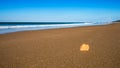 Aberdovey Aberdyfi Wales Snowdonia UK vast beautiful seascape holiday destination horizontal composition shell in the foreground