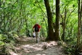 The woodland walks up the Welsh Mountains in Abergavenny Royalty Free Stock Photo