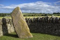 Aberlemno Pictish Stone, Scotland. Royalty Free Stock Photo