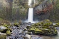 Abiqua Falls in Oregon in Spring