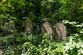 Abney Park Cemetery - London