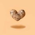 Abnormal potato in shape of heart flying on beige. Organic love homegrown vegetables