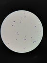 Abnormality of sperm or spermatozoa morphology in semen analysis Royalty Free Stock Photo